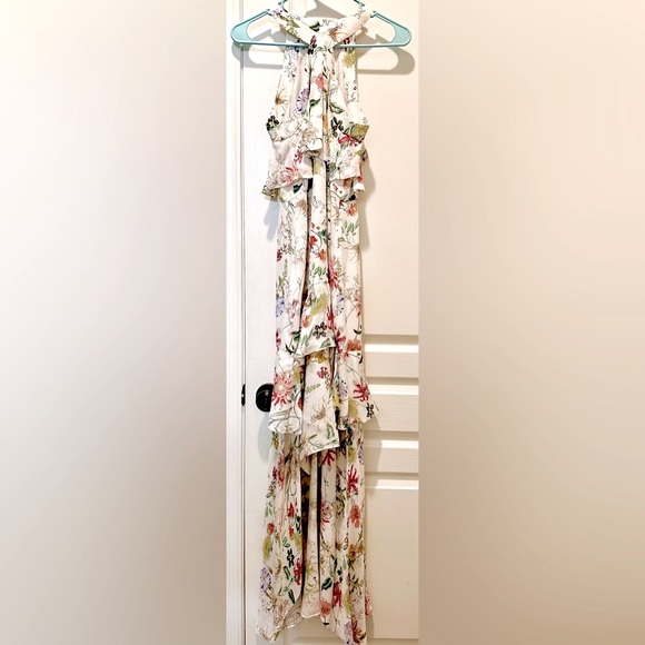 Parker Fillipa Sleeveless Halter Neck High/Low Ruffle Maxi Dress Floral Sangria - Picture 3 of 10